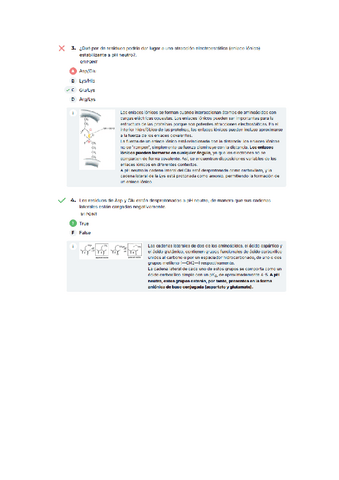 TEST-4-SOCRATIVE-INTERACCIONES-AMINOACIDOS.pdf