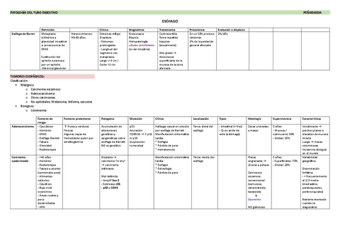 E27-Patologia-del-tubo-digestivo.pdf