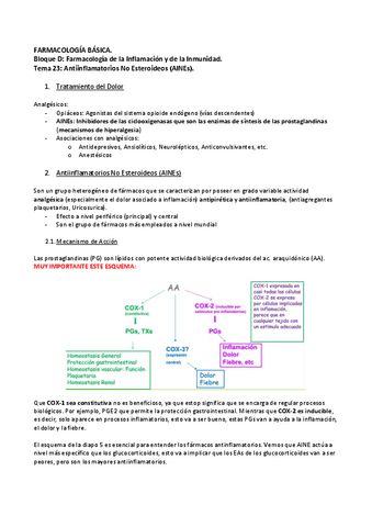 Tema-23-AINES.pdf