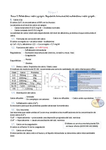 tema-1-bloque-I.pdf