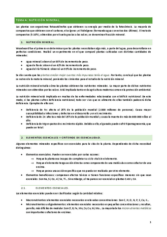 TEMA-4.pdf