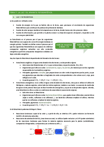 TEMA-7.pdf