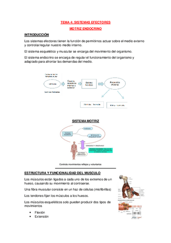 Tema-4.pdf