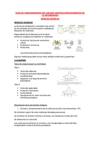 Tema-3B.pdf