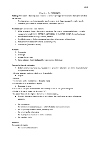 Practica-3-PTQ-PADDINGS.pdf
