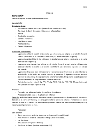 Practica-2-PATOPODO.pdf