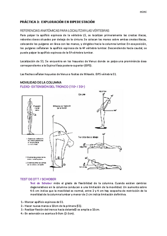 Practica-3-patopodo.pdf
