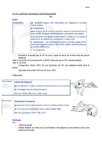 Practica-2-TFP.pdf