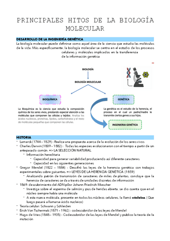 TEMA-1.pdf