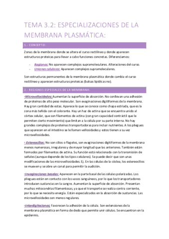 TEMA 3.2.pdf