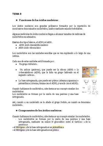 TEMA-9-BIOQUIMICA-ARNADN.pdf