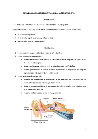 T2B.-Deficit-auditivo.pdf