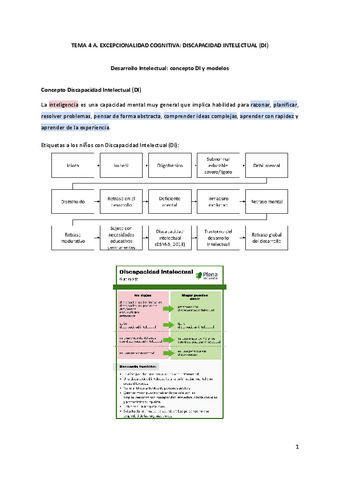 T4A.-Discapacidad-Intelectual.pdf