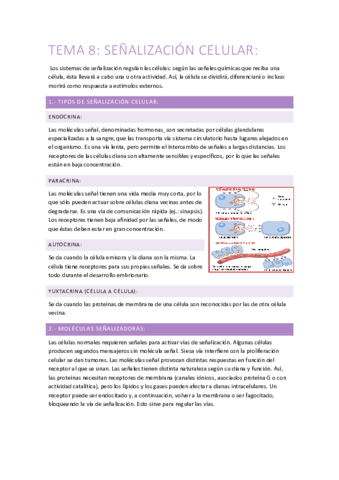 TEMA 8.pdf