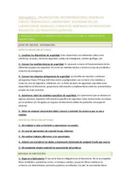 SEMINARIO 1.pdf