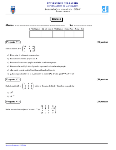 Algebra-Lineal-Trabajo.pdf