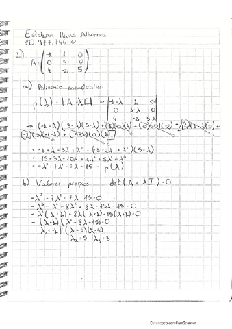 RespuestasTrabajoAlgebra.pdf