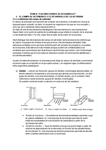 Tema-6-Direccion-Estrategica.pdf