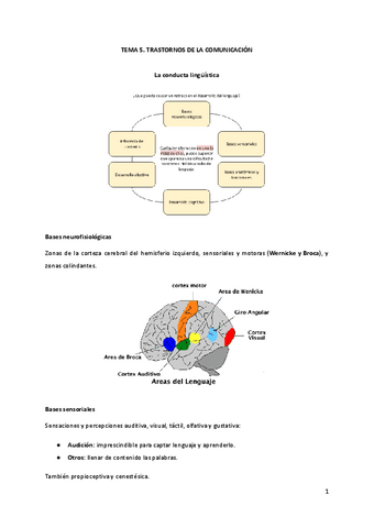 T5.-Trastornos-de-la-comunicacion.pdf