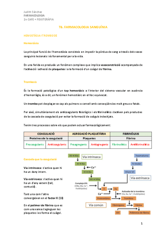 T6Farmaco-sanguinea.pdf