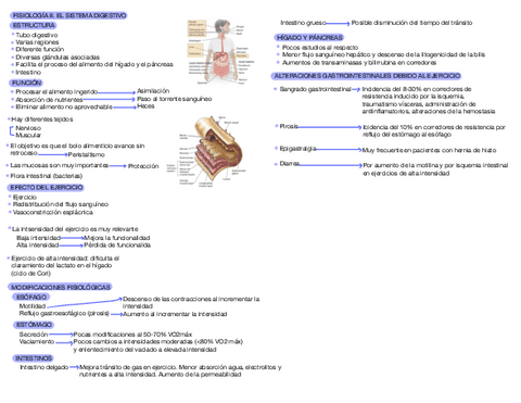 T2.Sistema-Digestivo.pdf