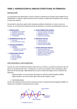 temas analisis .pdf