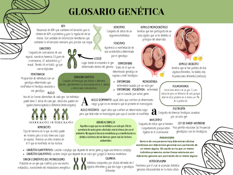 GLOSARIO-GENETICA.pdf