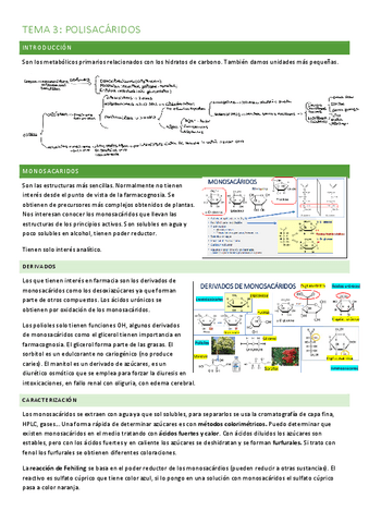 Tema-3-polisacaridos.pdf
