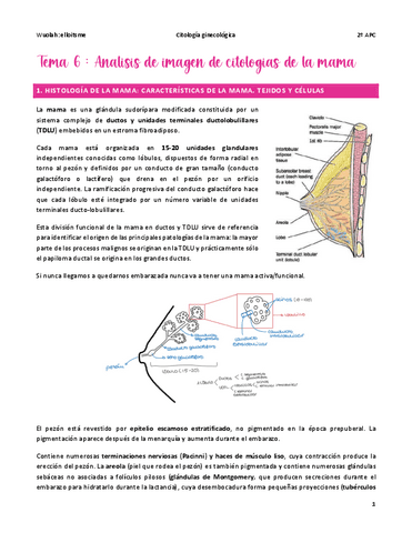 T6-GINE.pdf