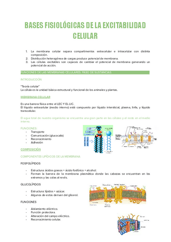 TEMA.-2-ISABEL-Y-MENA.pdf