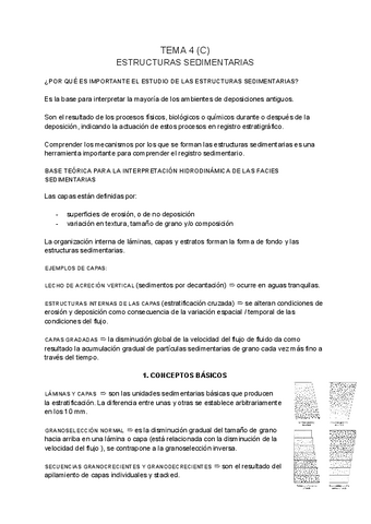 SEDIMENTOLOGIA-tema-4-C.pdf