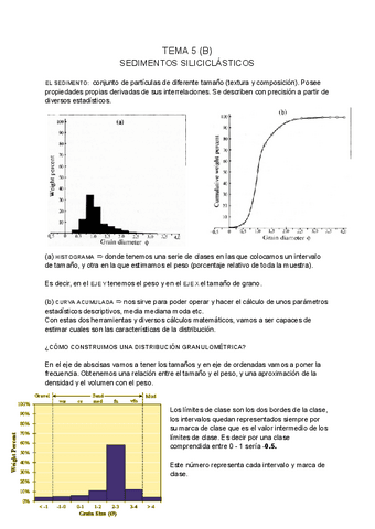 SEDIMENTOLOGIA-tema-5-B.pdf