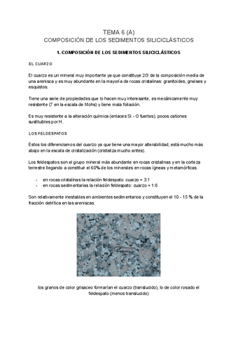 SEDIMENTOLOGIA-tema-6-A.pdf