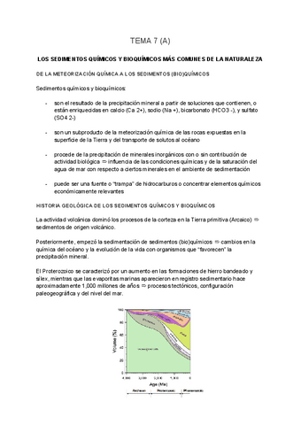 SEDIMENTOLOGIA-tema-7-A.pdf
