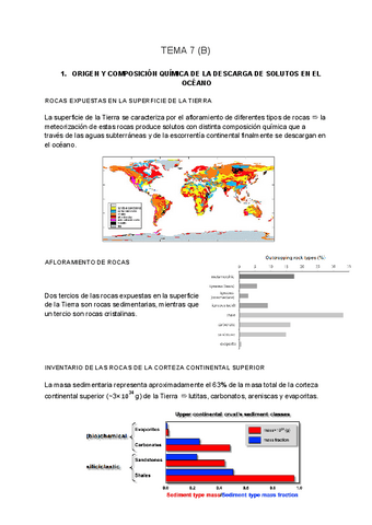 SEDIMENTOLOGIA-tema-7-B.pdf