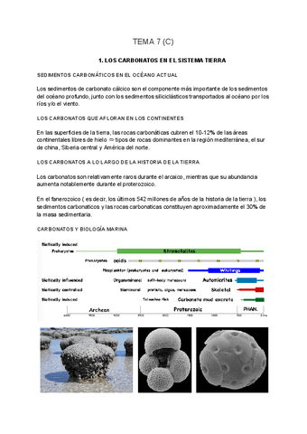 SEDIMENTOLOGIA-tema-7-C.pdf