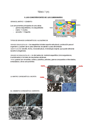 SEDIMENTOLOGIA-tema-7-H.pdf