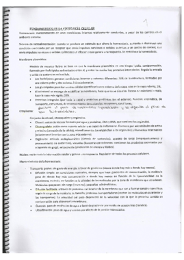 Apuntes de Bioftalmologia.pdf