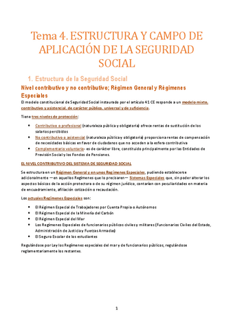 Tema-4.-Seg-Social.pdf