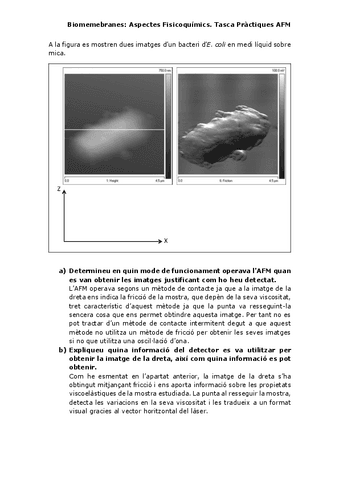 Tasca-4.pdf