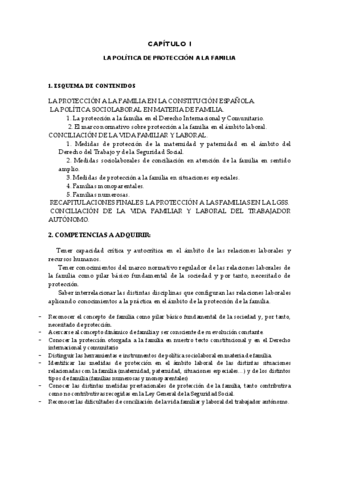 2022-TEMA-1-LA-POLITICA-DE-PROTECCION-A-LA-FAMILIA-1.pdf