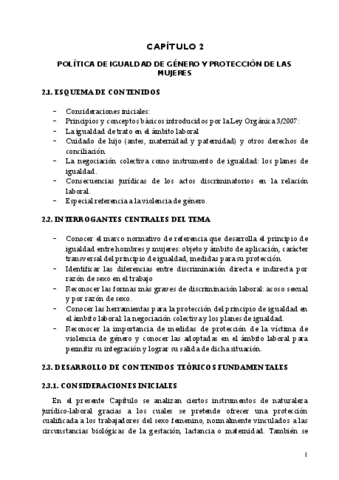 R.-Tema-2-proteccion-a-la-mujer.pdf