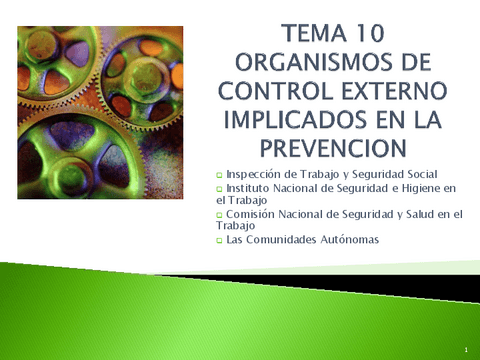 TEMA-10.-Prevencion.pdf