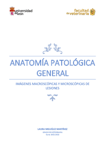 Recopilacion-imagenes-APG.pdf