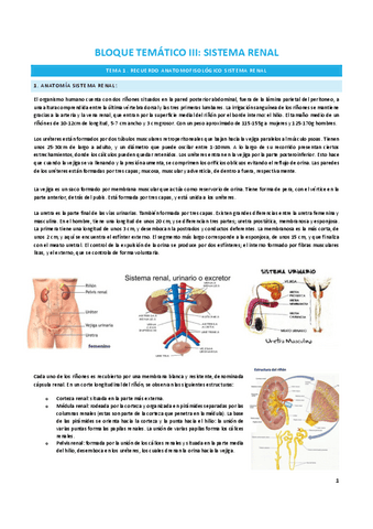 Apuntes-T.9-A3-RENAL.pdf