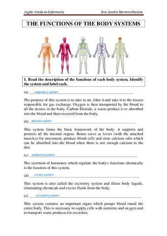 P.-AULA-The-functions-of-the-body-system.pdf