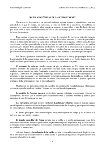 Basesanatomicasyorigendelabipedestacion.pdf