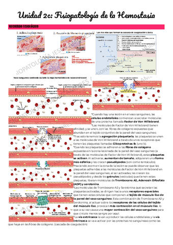 Unidad-2c-Fisiopatologia-de-la-Hemostasia.pdf