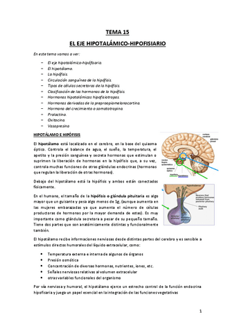 TEMA-15.pdf