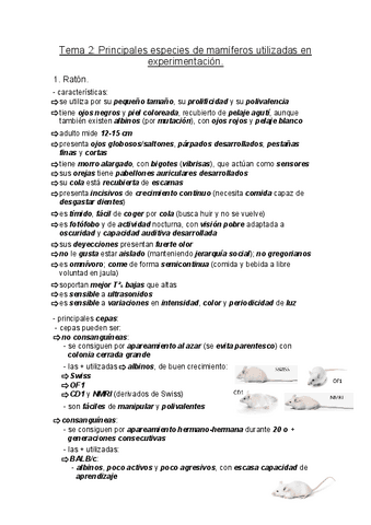 MyBAE-Tema-2.pdf